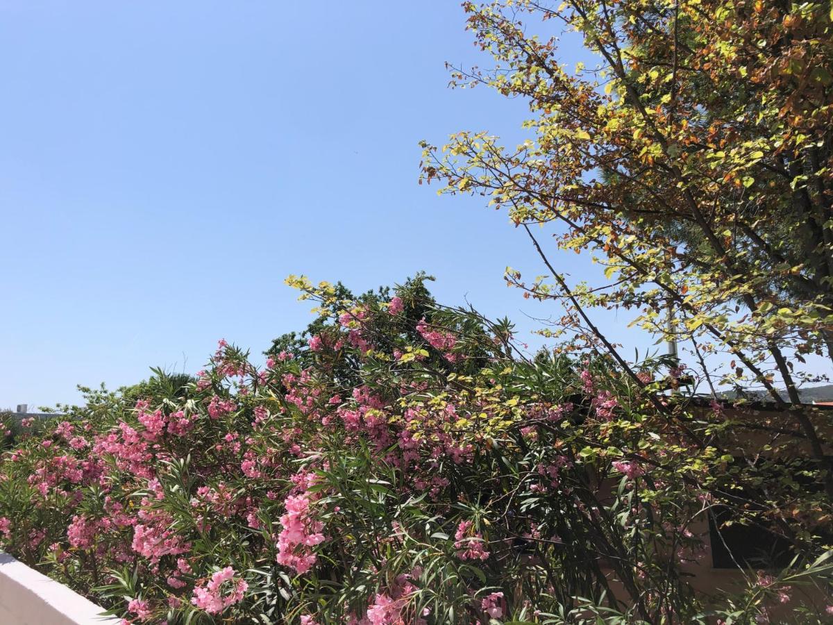 Tiglio Vieste Dış mekan fotoğraf
